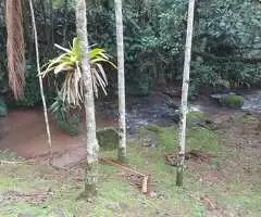 Casa para Locação em Santa Bárbara – Paraíso Natural a Apenas 8 km do Centro - Imagem 3