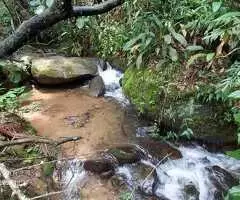 Casa para Locação em Santa Bárbara – Paraíso Natural a Apenas 8 km do Centro - Imagem 9