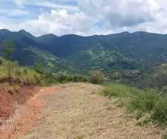 Terreno à Venda – Santa Bárbara - Imagem 3