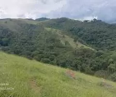 Terreno de 20.000 m² com Platô Natural e Vista Panorâmica  - Imagem 2