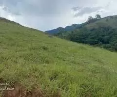 Terreno de 20.000 m² com Platô Natural e Vista Panorâmica  - Imagem 5