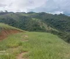 Terreno de 20.000 m² com Platô Natural e Vista Panorâmica  - Imagem 7