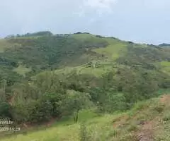 Terreno de 20.000 m² com Platô Natural e Vista Panorâmica  - Imagem 9