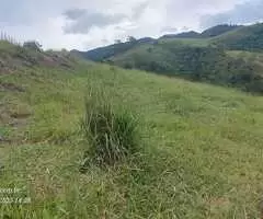 Terreno de 20.000 m² com Platô Natural e Vista Panorâmica  - Imagem 10