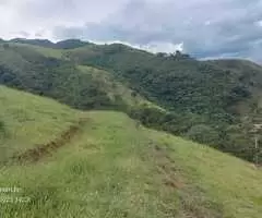 Terreno de 20.000 m² com Platô Natural e Vista Panorâmica  - Imagem 11