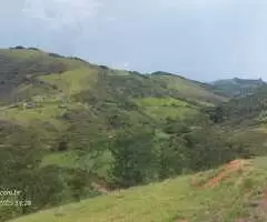 Terreno de 20.000 m² com Platô Natural e Vista Panorâmica  - Imagem 12