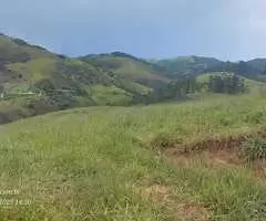 Terreno à Venda – 20.000 m² no Bairro Rio do Peixe - Imagem 5