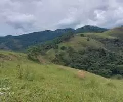 Terreno à Venda – 20.000 m² no Bairro Rio do Peixe - Imagem 7