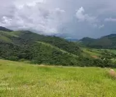 Terreno à Venda – 20.000 m² no Bairro Rio do Peixe - Imagem 10