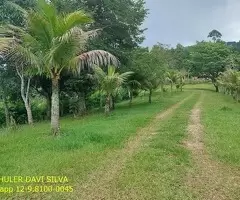 Sítio em Condomínio Fechado – Zona Norte de São José dos Campos/SP - Imagem 2