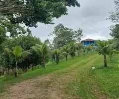 Sítio em Condomínio Fechado – Zona Norte de São José dos Campos/SP - Imagem 11