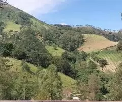 Casa Mobiliada para Locação em Santa Bárbara – São Francisco Xavier - Imagem 4