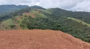 Terreno à Venda – 20.000 m² no Bairro Rio do Peixe - Imagem 4