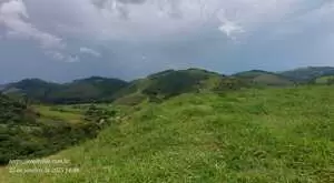 Terreno à Venda – 20.000 m² no Bairro Rio do Peixe - Imagem 9