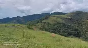 Terreno à Venda – 20.000 m² no Bairro Rio do Peixe - Imagem 14