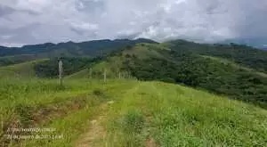 Terreno à Venda – 20.000 m² no Bairro Rio do Peixe - Imagem 15