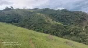 Terreno de 20.000 m² com Platô Natural e Vista Panorâmica  - Imagem 3