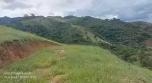 Terreno de 20.000 m² com Platô Natural e Vista Panorâmica  - Imagem 5