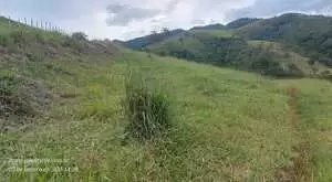 Terreno de 20.000 m² com Platô Natural e Vista Panorâmica  - Imagem 7