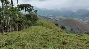 Terreno de 5 Alqueires – Bairro do Cafundó, São Francisco Xavier - Imagem 2