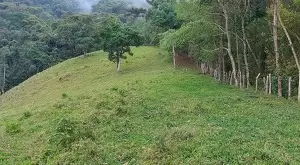 Terreno de 5 Alqueires – Bairro do Cafundó, São Francisco Xavier - Imagem 5