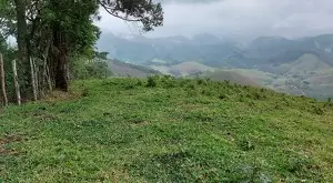 Terreno de 5 Alqueires – Bairro do Cafundó, São Francisco Xavier - Imagem 8