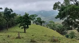 Terreno de 5 Alqueires – Bairro do Cafundó, São Francisco Xavier - Imagem 13