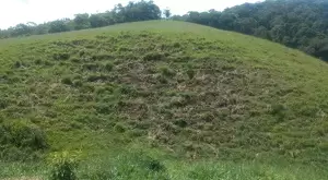Terreno no Bairro do Cafundó – São Francisco Xavier - Imagem 4