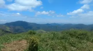 Terreno no Bairro do Cafundó – São Francisco Xavier - Imagem 6