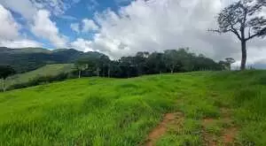 Terreno Cinematográfico em São Francisco Xavier - Imagem 2