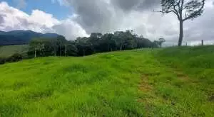 Terreno Cinematográfico em São Francisco Xavier - Imagem 3