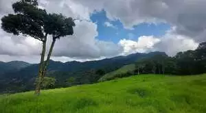 Terreno Cinematográfico em São Francisco Xavier - Imagem 4