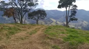 Terreno Cinematográfico em São Francisco Xavier - Imagem 5
