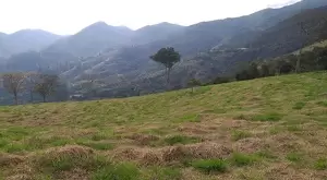 Terreno Cinematográfico em São Francisco Xavier - Imagem 6