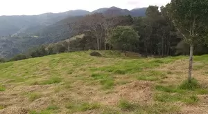 Terreno Cinematográfico em São Francisco Xavier - Imagem 7