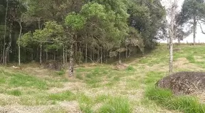 Terreno Cinematográfico em São Francisco Xavier - Imagem 9
