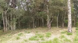Terreno Cinematográfico em São Francisco Xavier - Imagem 10
