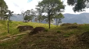 Terreno Cinematográfico em São Francisco Xavier - Imagem 12