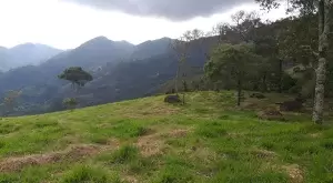 Terreno Cinematográfico em São Francisco Xavier - Imagem 13