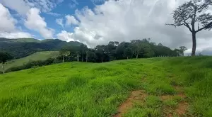 Terreno Cinematográfico em São Francisco Xavier - Imagem 14
