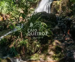 Sítio Maravilhoso na Serra da Mantiqueira, São Francisco Xavier - SP - Imagem 12