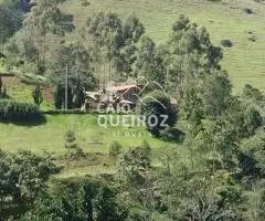 SÍTIO À VENDA – 20 ALQUEIRES | A 5 KM DA CIDADE SÃO FRANCISCO XAVIER - Imagem 10