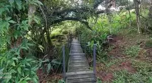 Casa para locação em fazenda – Segurança, privacidade e contato com a natureza - Imagem 3