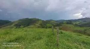 Terreno com vista maravilhosa no rio do peixe - Imagem 3