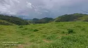 Terreno com vista maravilhosa no rio do peixe - Imagem 5
