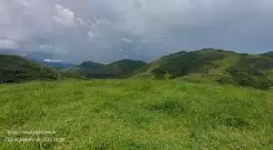 Terreno com vista maravilhosa no rio do peixe - Imagem 6