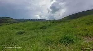 Terreno com vista maravilhosa no rio do peixe - Imagem 15