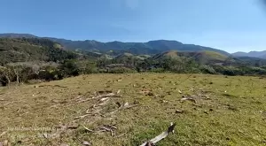 Oportunidade - Terreno no centro de São Francisco Xavier - Imagem 6
