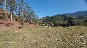 Oportunidade - Terreno no centro de São Francisco Xavier - Imagem 7
