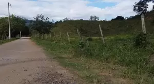 Oportunidade - Terreno no centro de São Francisco Xavier - Imagem 15